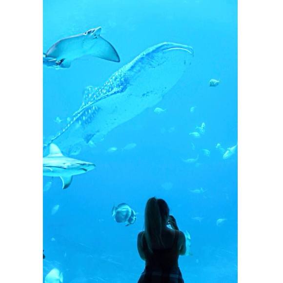 Meet your Posher, Veronica - Picture 1 of 1